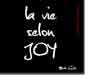 La vie selon Joy   (François Garagnon)